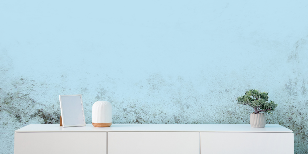 Duvarda Oluşan Nemi ve Küflenmeyi Nasıl Önleyebilirsiniz?