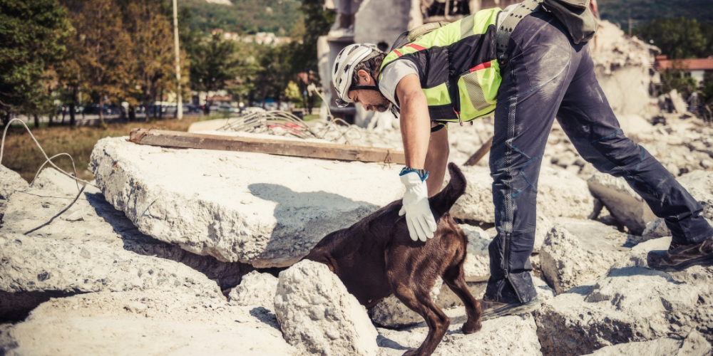 Arama Kurtarma Ekibi Merdiveni Nasıl Olmalı?